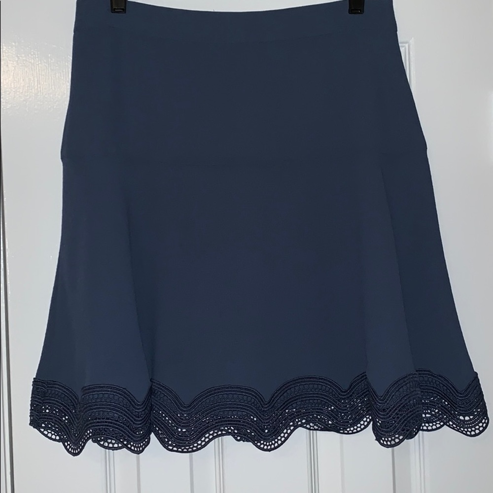 Ann Taylor Skirt